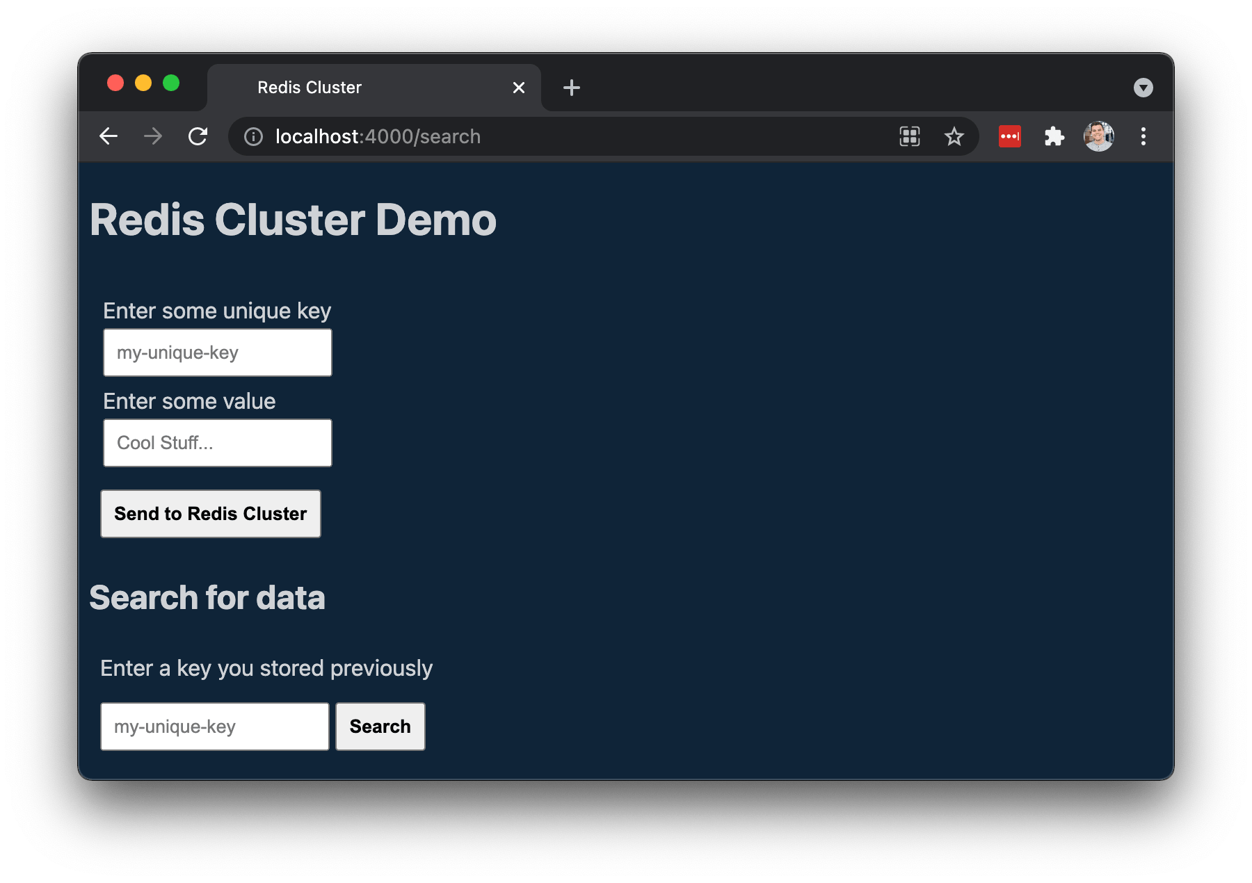 Redis Cluster Demo Web App